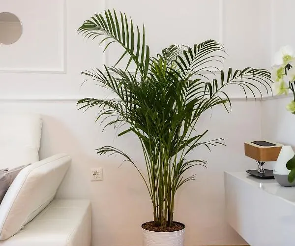 Parentium Apartamento Poreč